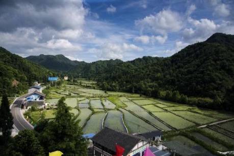 贵桑村典范项目，引领乡村发展新篇章