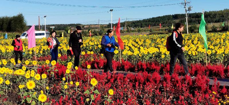 依兰农场现代化发展规划，打造农业新标杆