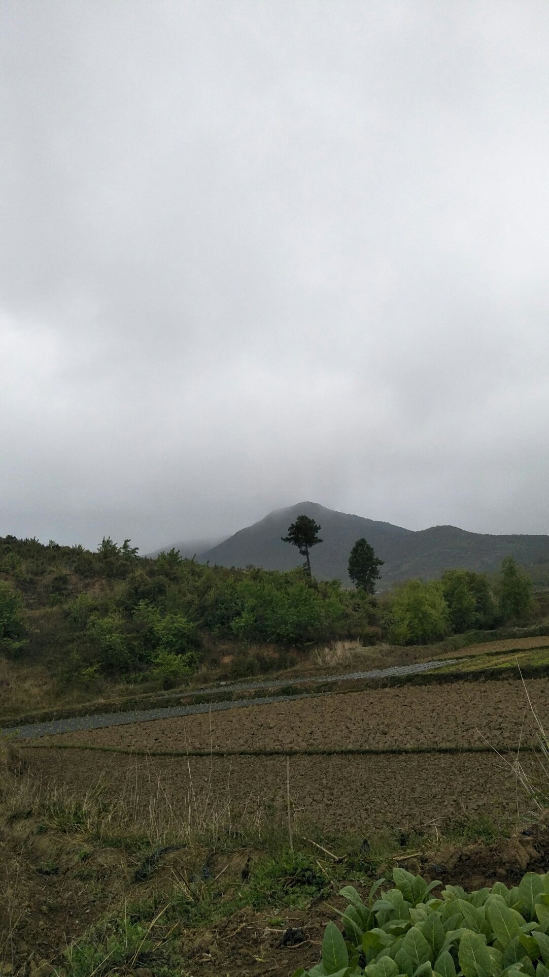 武家河乡天气预报更新通知