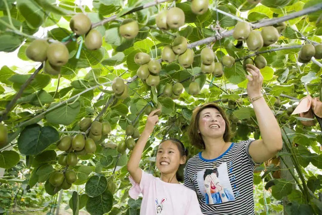 古堰社区重塑乡村魅力，引领未来发展的新引擎项目启动