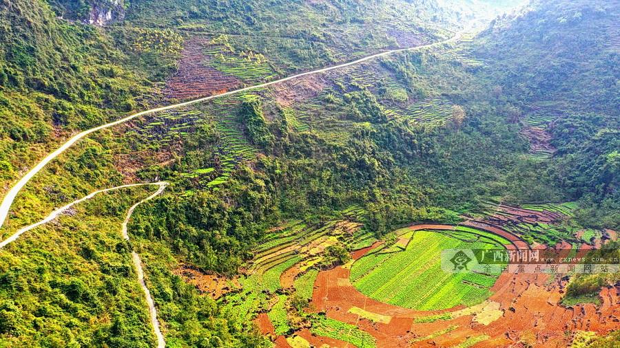 福龙瑶族乡领导团队最新调整，引领地方发展的核心力量